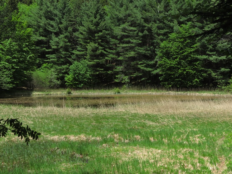 Riserva Naturale Orientata Agoraie di Sopra  Moggetto