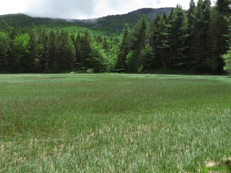 Riserva Naturale Orientata Agoraie di Sopra  Moggetto