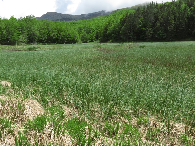 Riserva Naturale Orientata Agoraie di Sopra  Moggetto