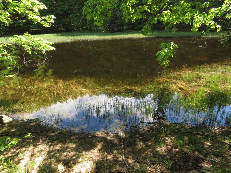 Riserva Naturale Orientata Agoraie di Sopra  Moggetto