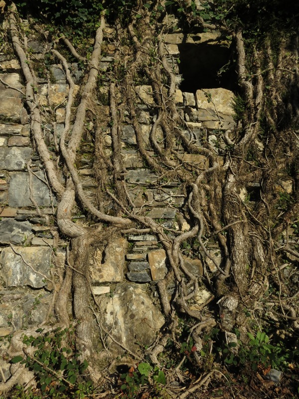 Il paese fantasma di Canate di Marsiglia