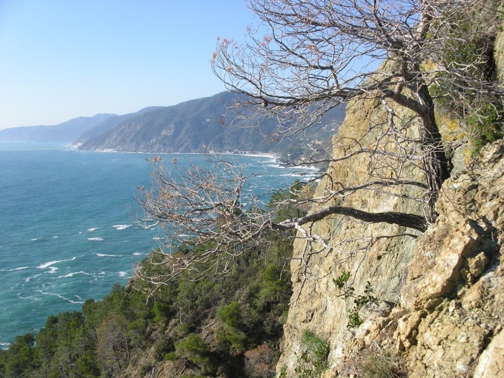 I migliori punti panoramici vista mare nel levante ligure