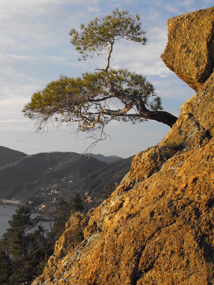 I migliori punti panoramici vista mare nel levante ligure