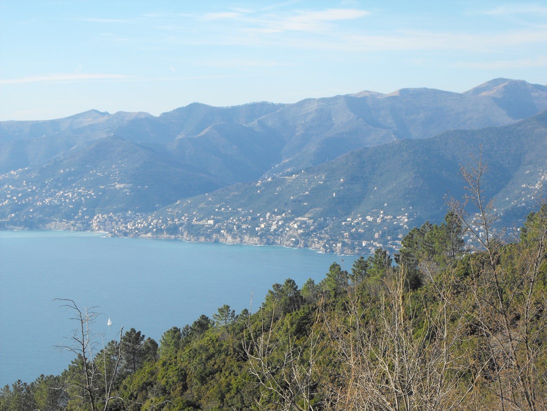 I migliori punti panoramici vista mare nel levante ligure