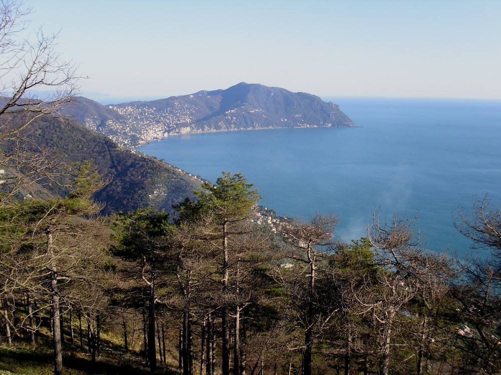 I migliori punti panoramici vista mare nel levante ligure