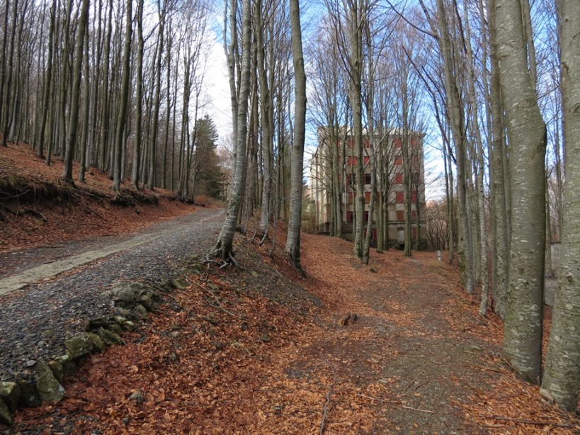 Anello della Faggeta del Monte Zatta (Appennino Ligure)