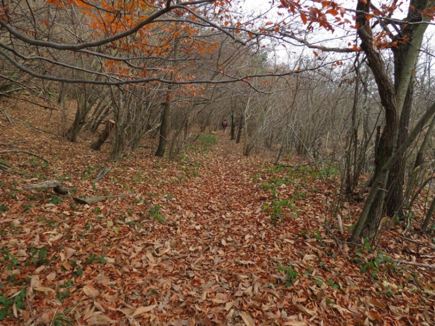 Sentiero Naturalistico dei Laghi del Gorzente