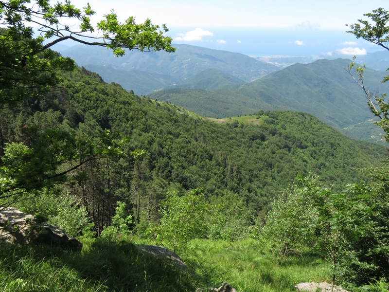 Anello della Faggeta del Monte Zatta (Appennino Ligure)