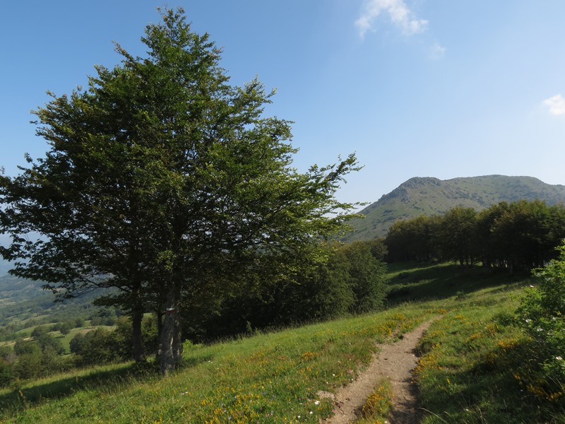 Monte Ragola e Lago Bino