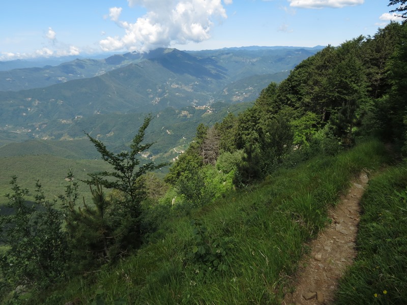 Anello della Faggeta del Monte Zatta (Appennino Ligure)