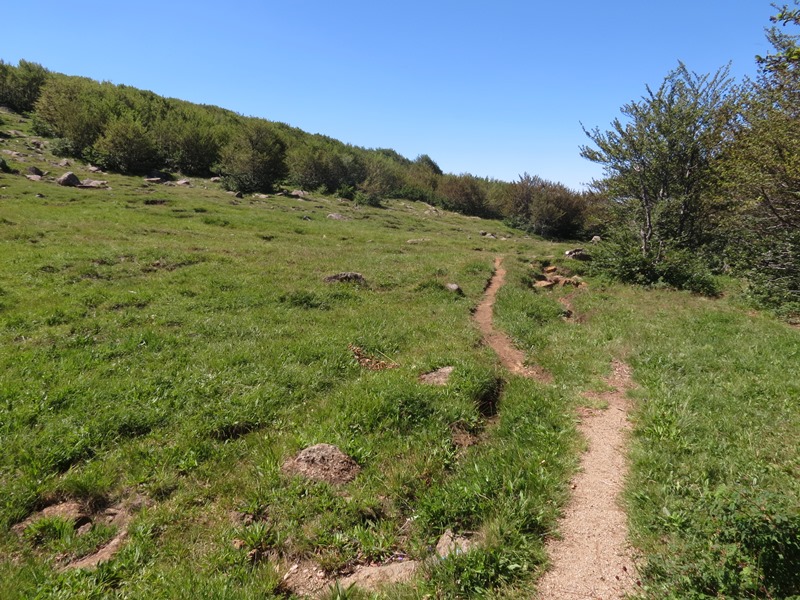 Monte Aiona (Appennino Ligure)