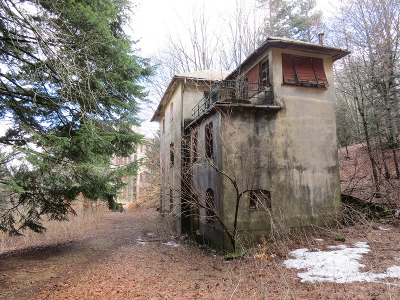 Anello della Faggeta del Monte Zatta (Appennino Ligure)