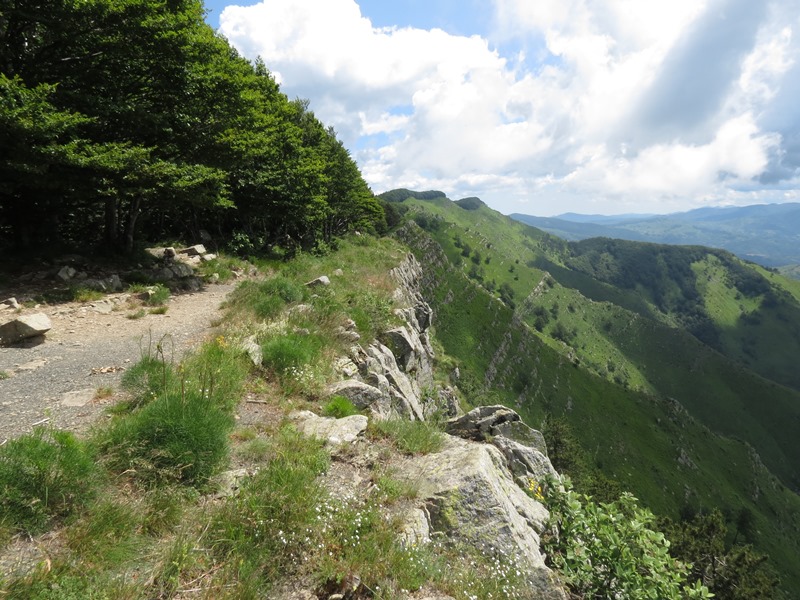 Anello della Faggeta del Monte Zatta (Appennino Ligure)