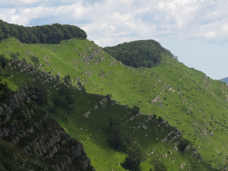 Anello della Faggeta del Monte Zatta (Appennino Ligure)