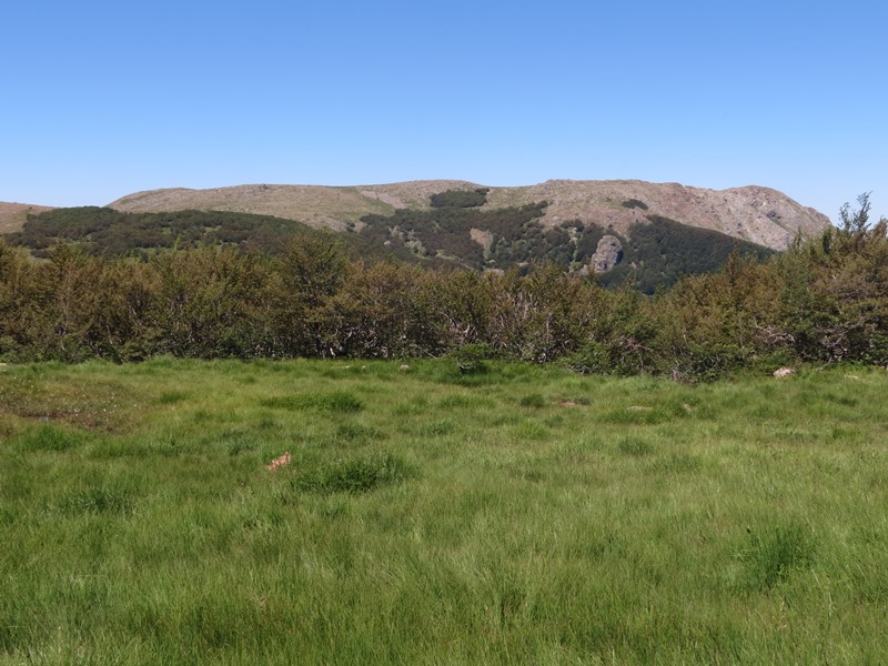 Monte Aiona (Appennino Ligure)