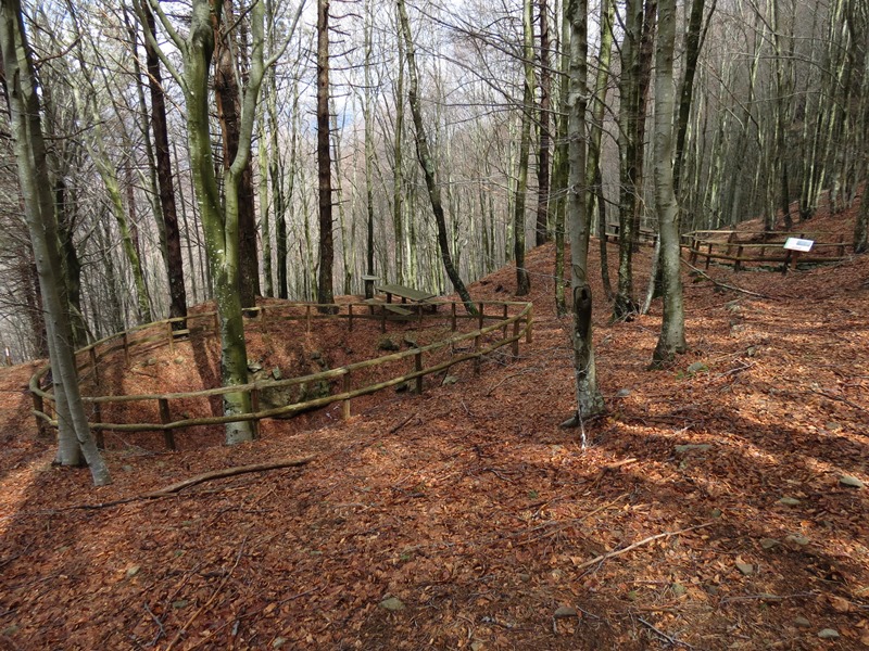 Anello della Faggeta del Monte Zatta (Appennino Ligure)