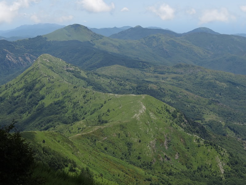 Anello della Faggeta del Monte Zatta (Appennino Ligure)