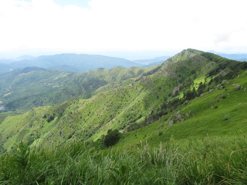 Anello della Faggeta del Monte Zatta (Appennino Ligure)