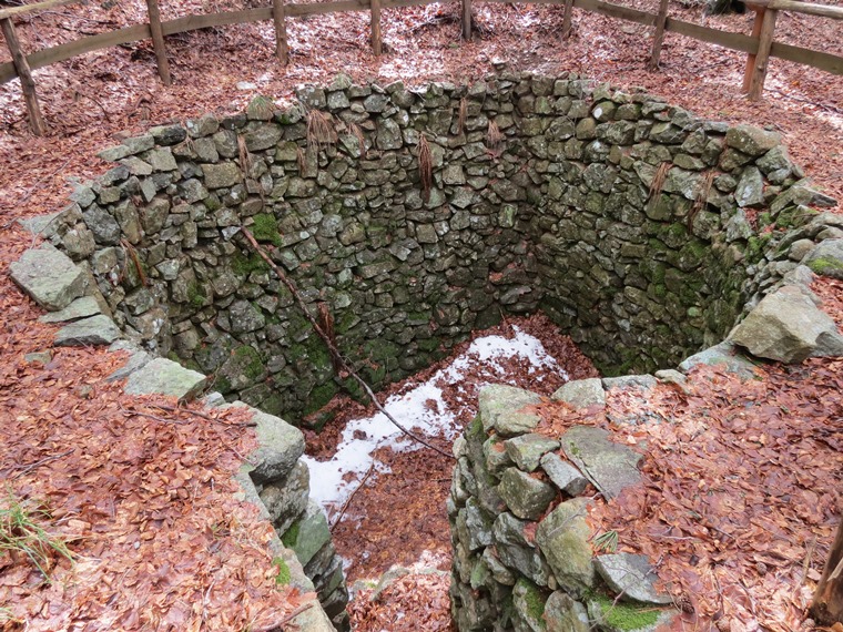 Anello della Faggeta del Monte Zatta (Appennino Ligure)