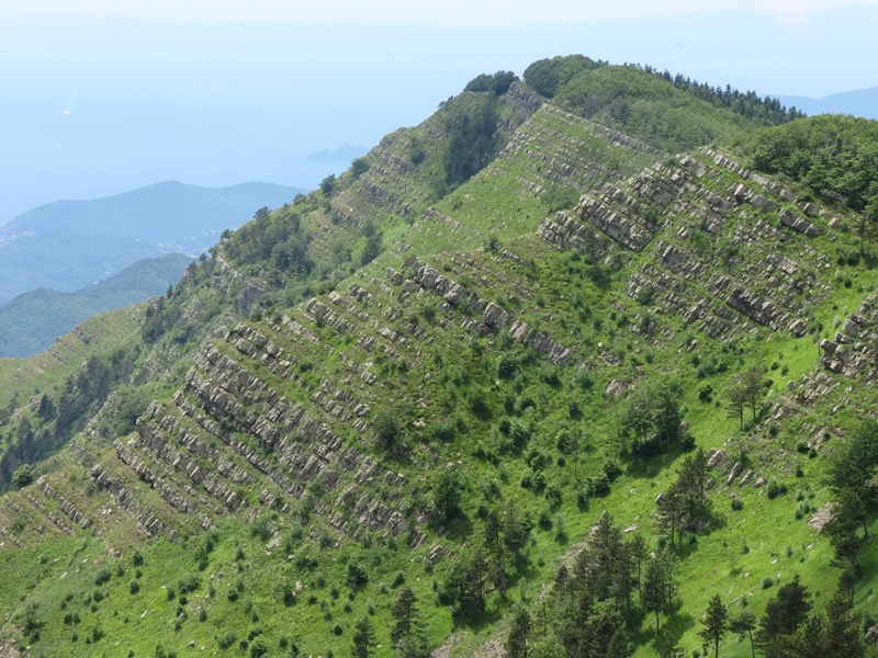 Anello della Faggeta del Monte Zatta (Appennino Ligure)