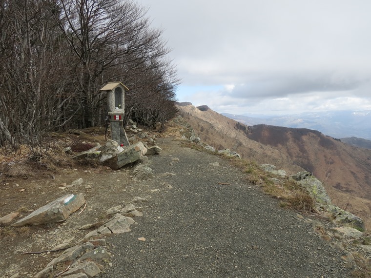 Anello della Faggeta del Monte Zatta (Appennino Ligure)