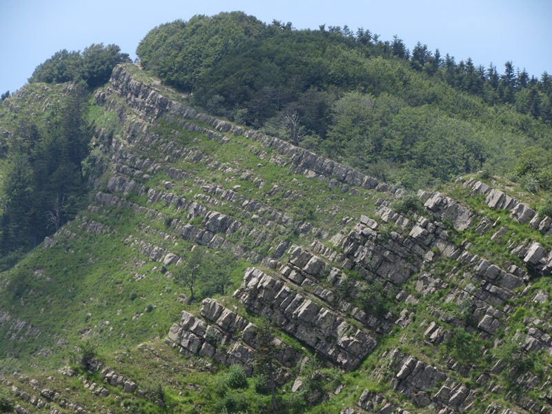 Anello della Faggeta del Monte Zatta (Appennino Ligure)