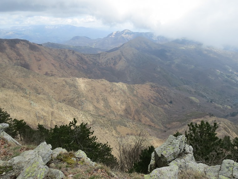 Anello della Faggeta del Monte Zatta (Appennino Ligure)