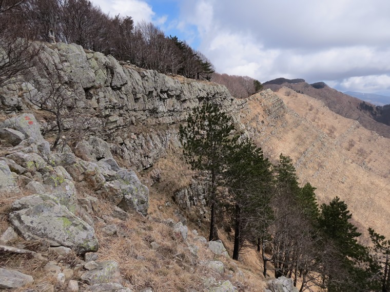 Anello della Faggeta del Monte Zatta (Appennino Ligure)