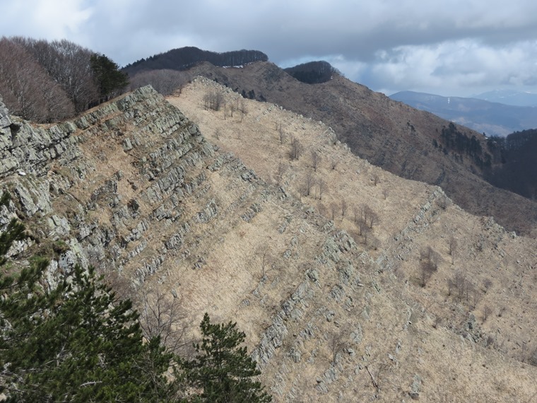 Anello della Faggeta del Monte Zatta (Appennino Ligure)