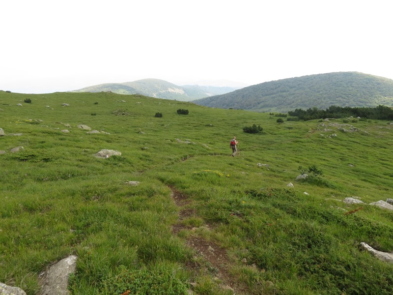 Monte Ragola e Lago Bino