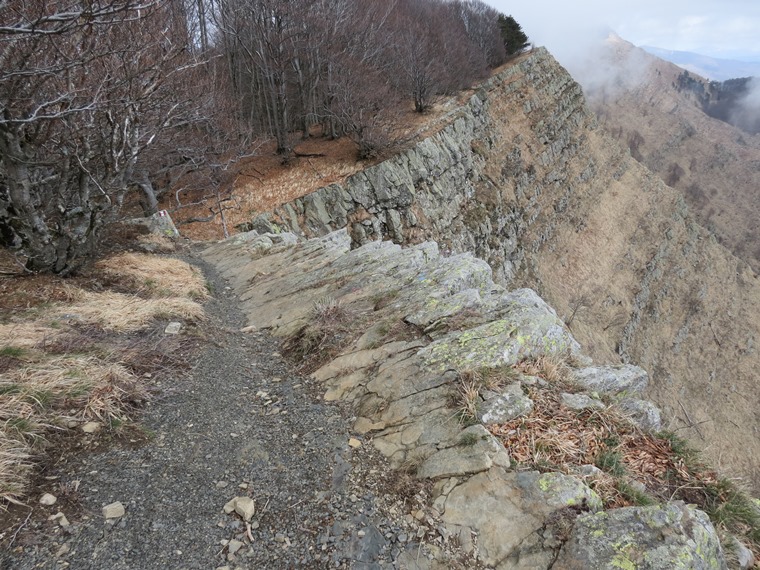 Anello della Faggeta del Monte Zatta (Appennino Ligure)