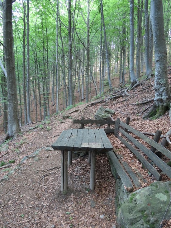 Anello della Faggeta del Monte Zatta (Appennino Ligure)