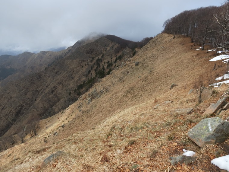 Anello della Faggeta del Monte Zatta (Appennino Ligure)