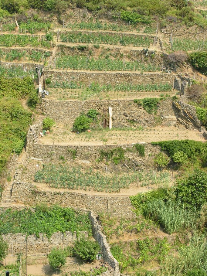 Corniglia (Cinque Terre)