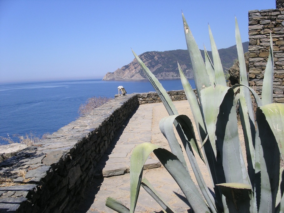 Vernazza (Cinque Terre)