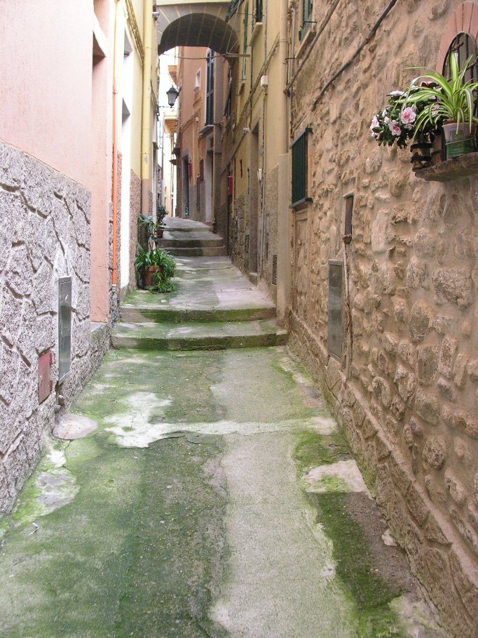 Manarola (Cinque Terre)