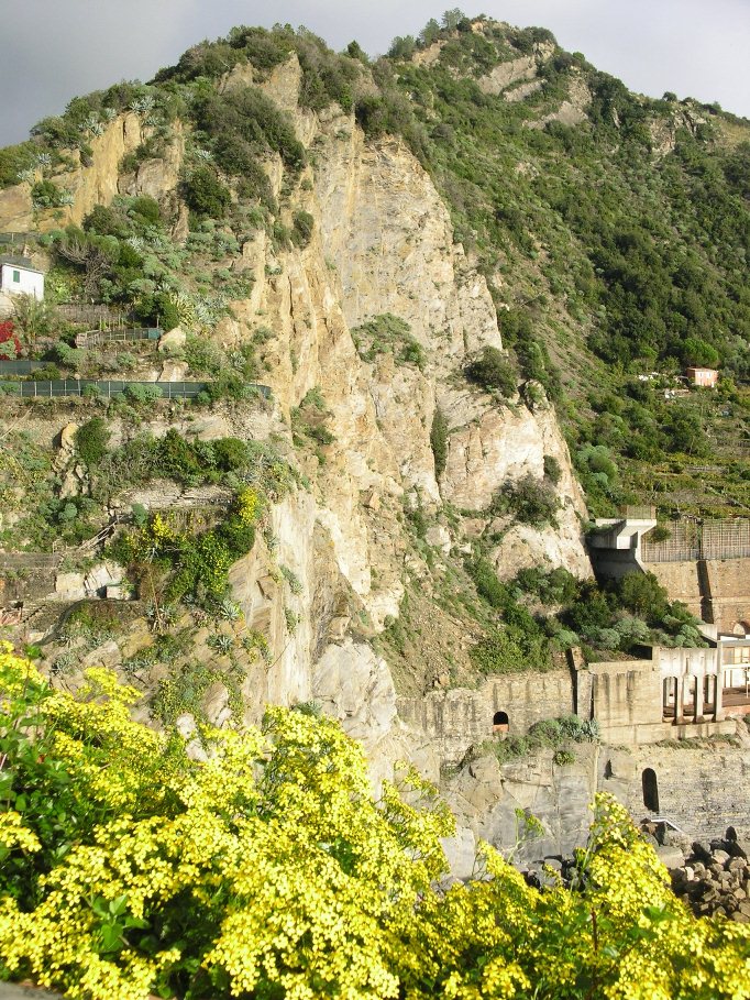 Manarola (Cinque Terre)