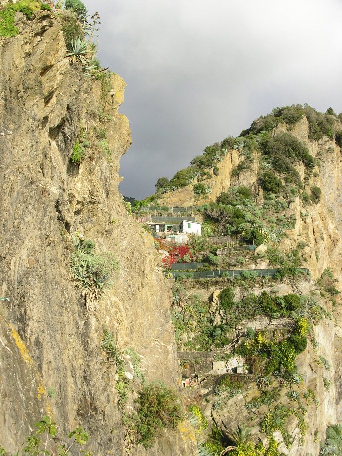 Manarola (Cinque Terre)