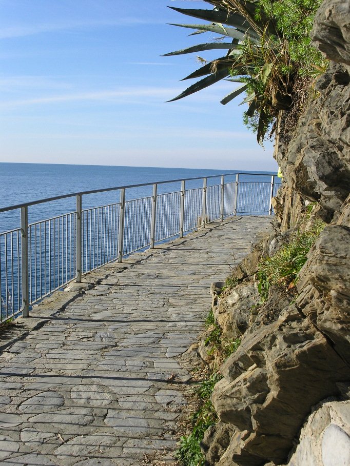 Manarola (Cinque Terre)