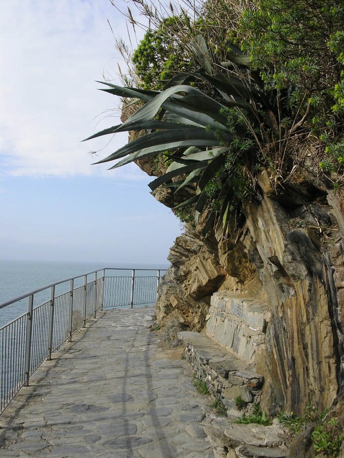 Manarola (Cinque Terre)