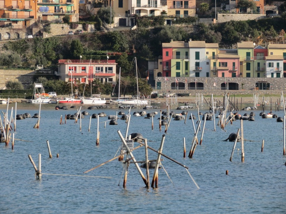 Portovenere