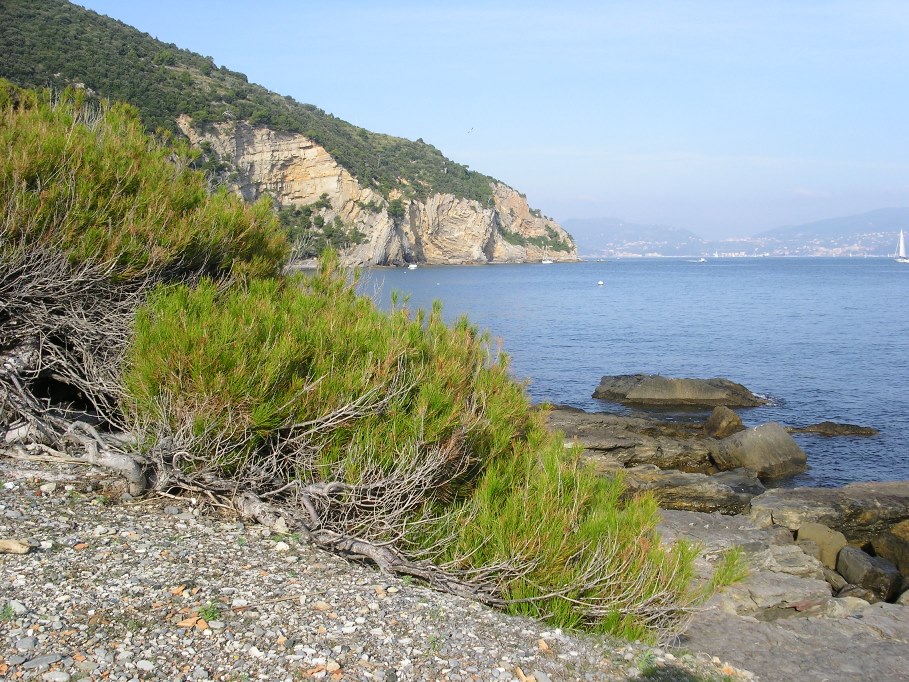 Giro dell''Isola Palmaria