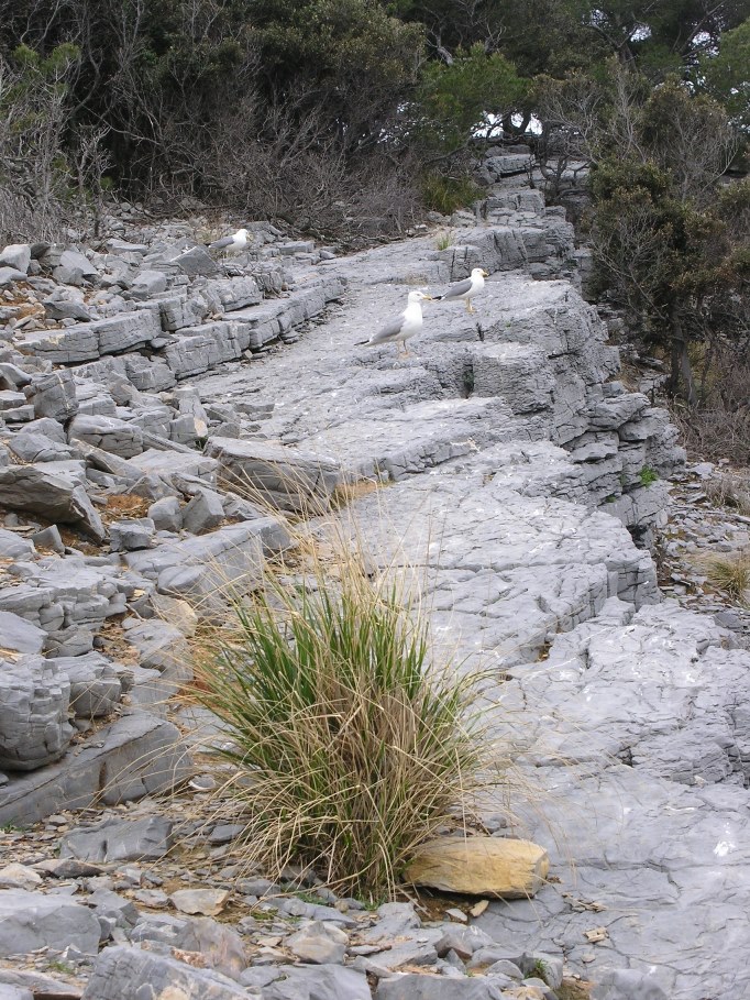 Giro dell''Isola Palmaria