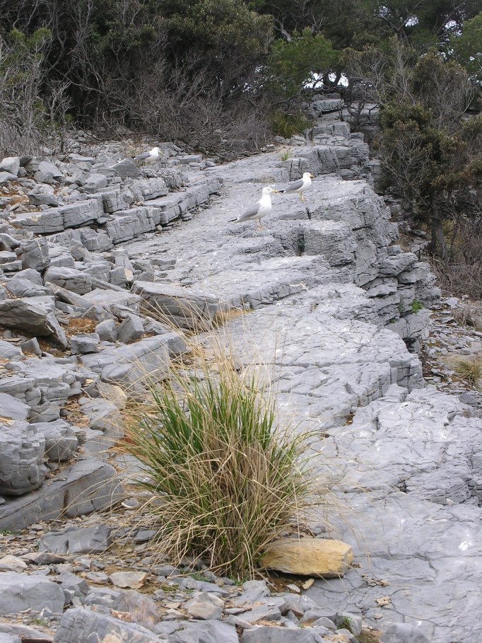 Giro dell''Isola Palmaria