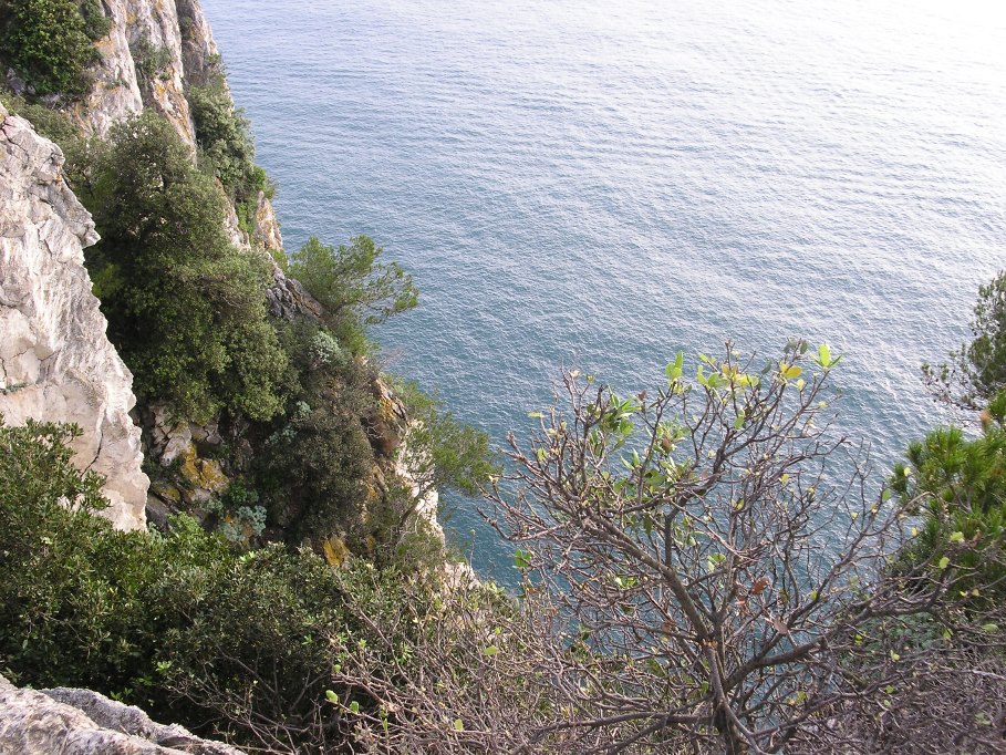 Giro dell''Isola Palmaria