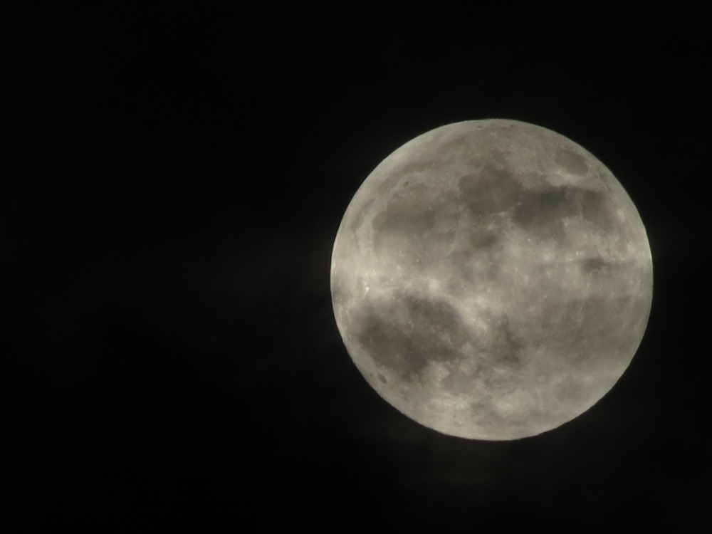 Luna piena