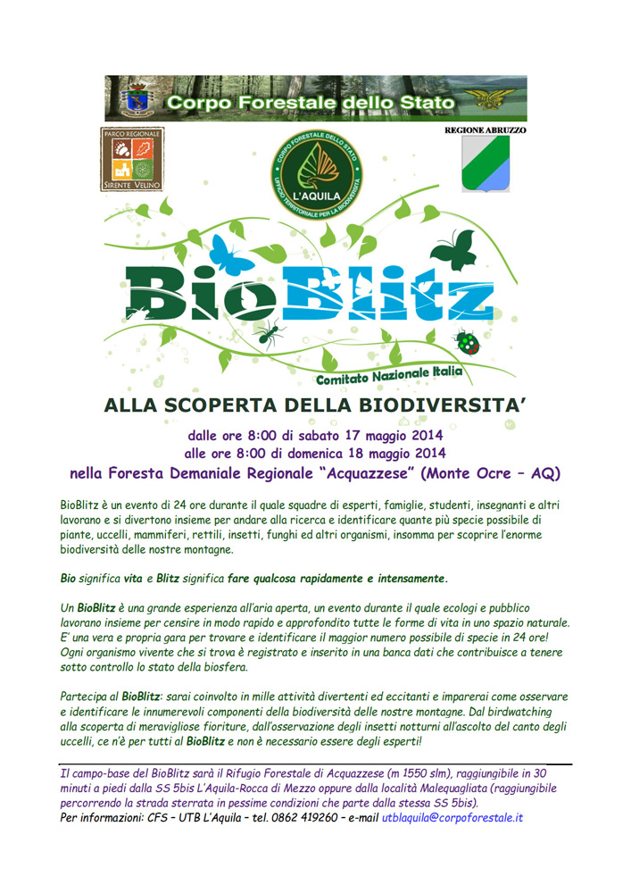 Cercasi esperti/entusiasti per BioBlitz, L''Aquila, 17 maggio