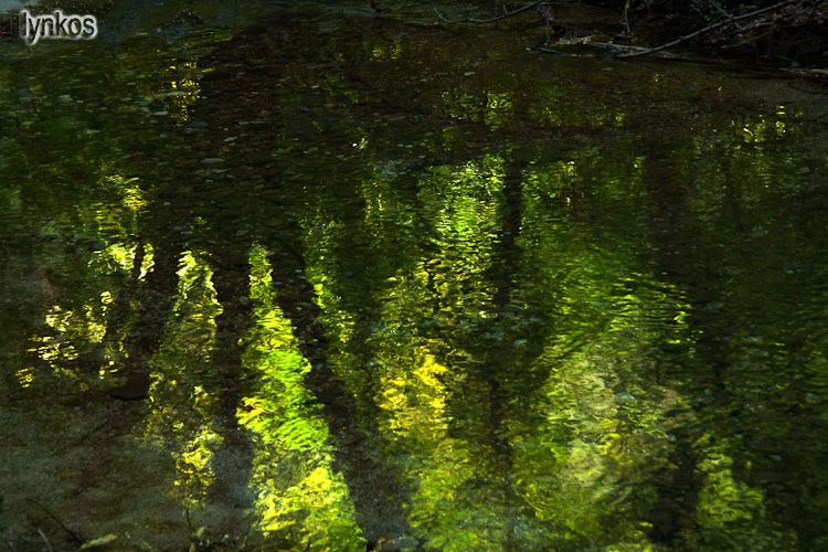 Un mondo riflesso...