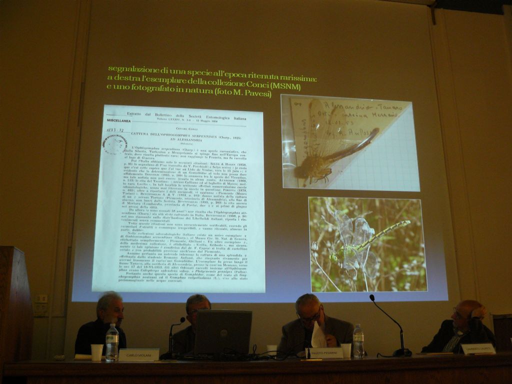 Giornata di Studio in onore del prof. Cesare Conci