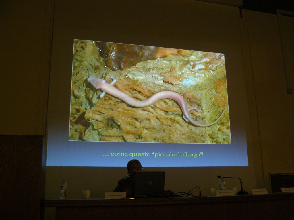 Giornata di Studio in onore del prof. Cesare Conci